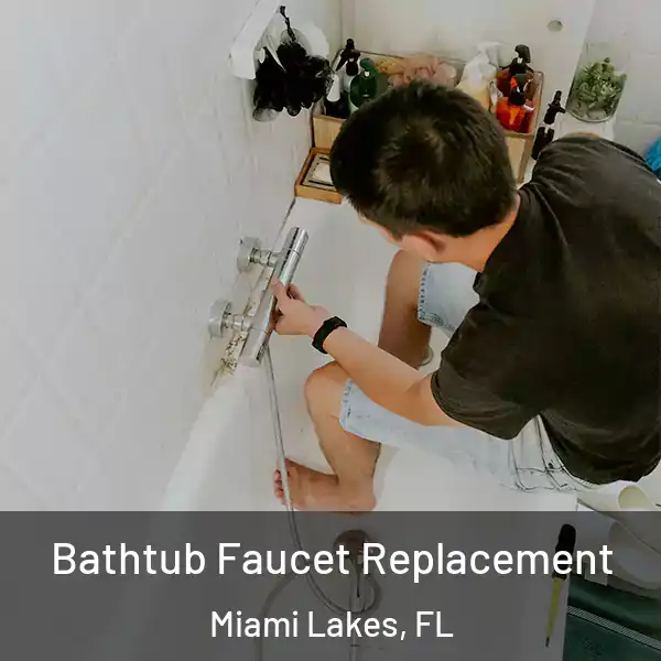  Bathtub Faucet Replacement Miami Lakes, FL
