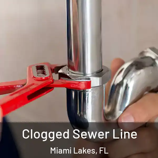  Clogged Sewer Line Miami Lakes, FL
