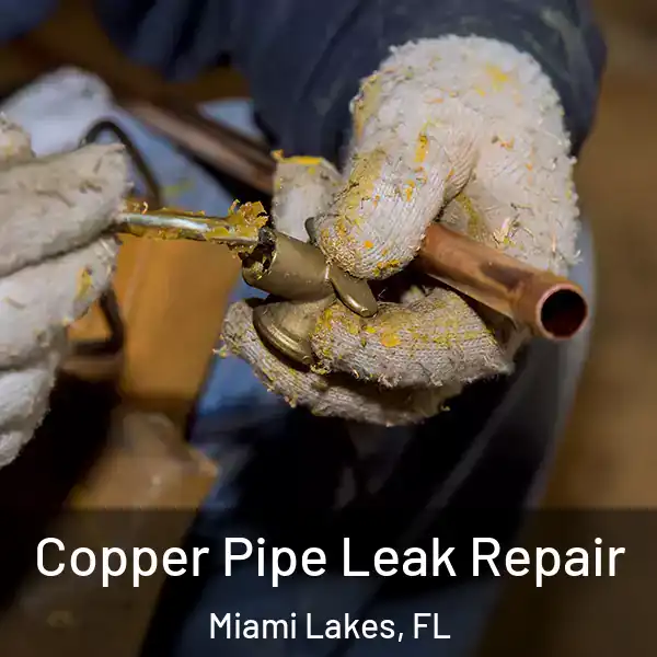  Copper Pipe Leak Repair Miami Lakes, FL