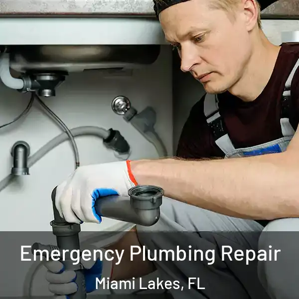  Emergency Plumbing Repair Miami Lakes, FL