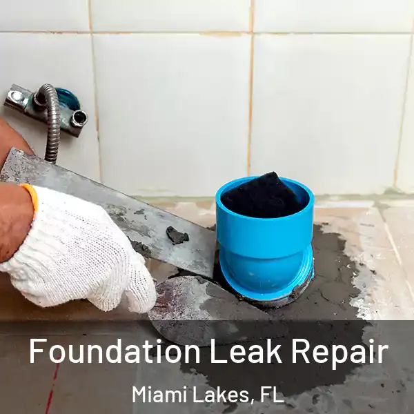  Foundation Leak Repair Miami Lakes, FL