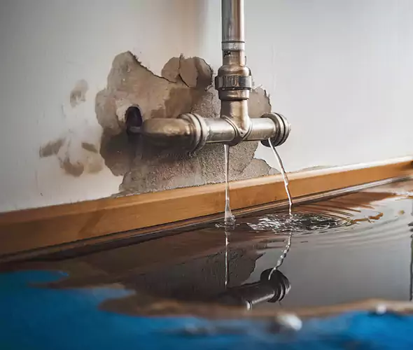 Professional Water Damage Restoration Experts in Miami Lakes, FL — Fast, Reliable & Certified