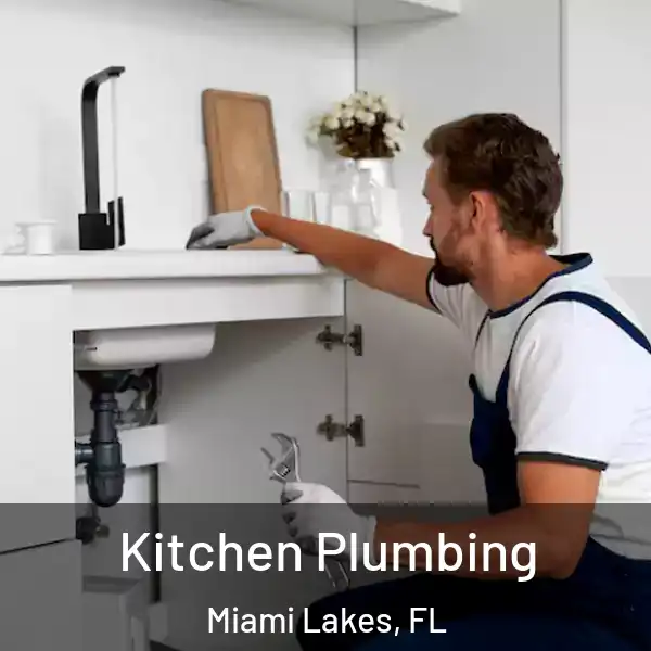 Kitchen Plumbing Miami Lakes, FL