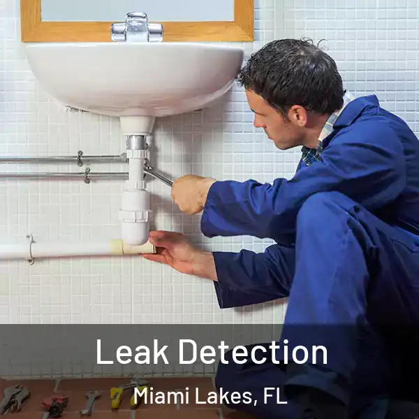  Leak Detection Miami Lakes, FL