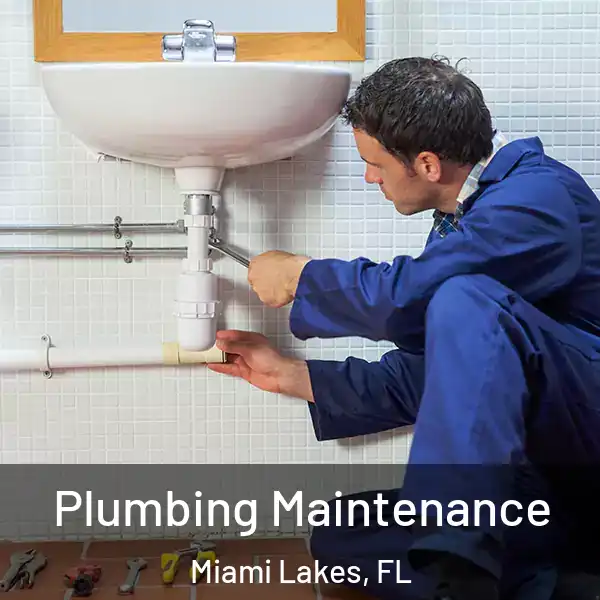  Plumbing Maintenance Miami Lakes, FL