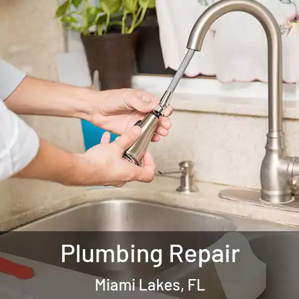  Plumbing Repair Miami Lakes, FL