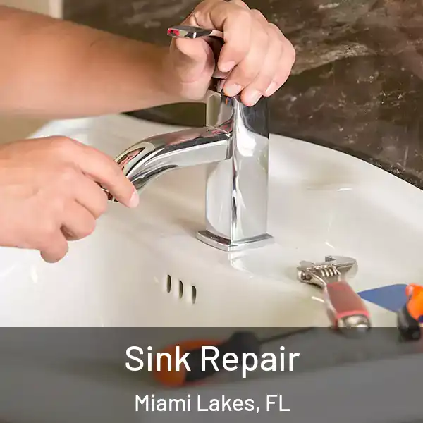  Sink Repair Miami Lakes, FL