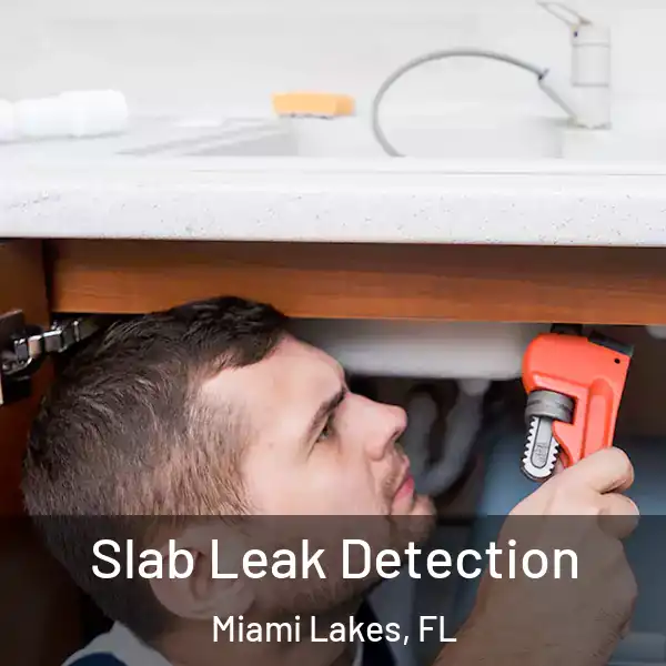  Slab Leak Detection Miami Lakes, FL