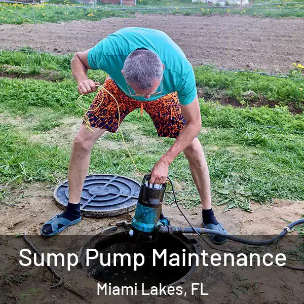  Sump Pump Maintenance Miami Lakes, FL