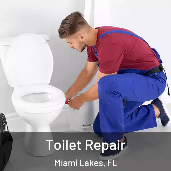  Toilet Repair Miami Lakes, FL