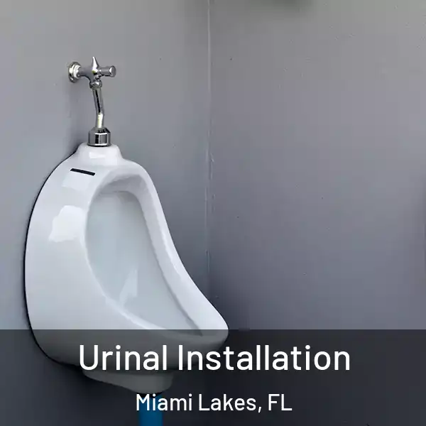  Urinal Installation Miami Lakes, FL