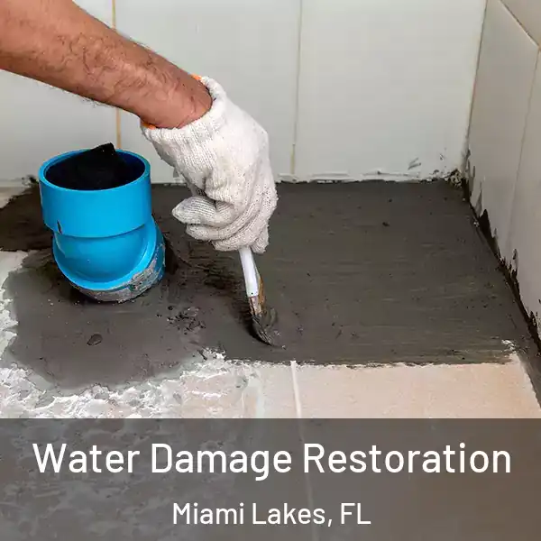  Water Damage Restoration Miami Lakes, FL