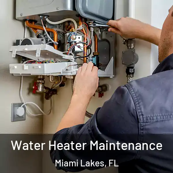  Water Heater Maintenance Miami Lakes, FL