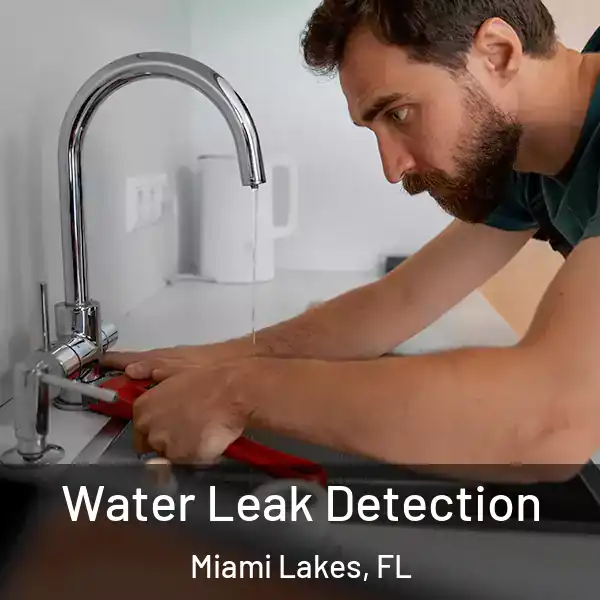  Water Leak Detection Miami Lakes, FL