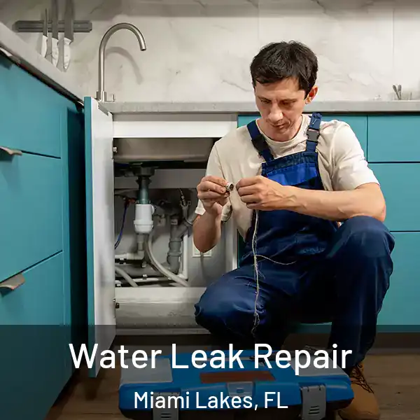  Water Leak Repair Miami Lakes, FL