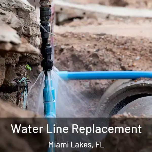  Water Line Replacement Miami Lakes, FL